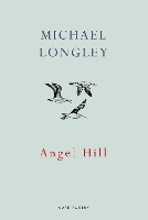 Book Cover for Angel Hill by Michael Longley