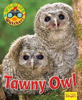 Book Cover for Wildlife Watchers: Tawny Owl by Ruth Owen