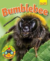 Book Cover for Bumblebee by Ruth Owen