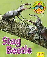 Book Cover for Stag Beetle by Ruth Owen