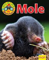 Book Cover for Wildlife Watchers: Mole by Ruth Owen