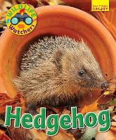 Book Cover for Hedgehog by Ruth Owen