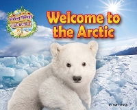 Book Cover for Welcome to the Arctic by Honor Head