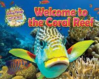 Book Cover for Welcome to the Coral Reef by Honor Head