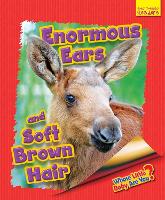 Book Cover for Whose Little Baby Are You? Enormous Ears and Soft Brown Hair by Ellen Lawrence