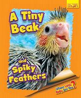 Book Cover for Whose Little Baby Are You? A Tiny Beak and Spiky Feathers by Ellen Lawrence