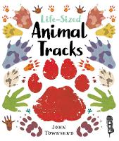 Book Cover for Life-Sized Animal Tracks by John Townsend