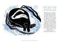 Book Cover for Tom Cox's 21st Century Yokel Poster: Secretive Snuffler by Tom Cox