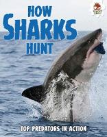 Book Cover for Shark! How Sharks Hunt by Paul Mason