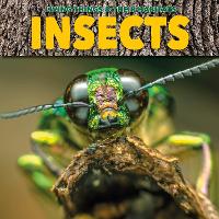 Book Cover for Insects by Grace Jones