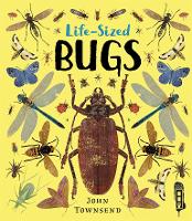 Book Cover for Life-Sized Bugs by John Townsend