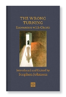 Book Cover for The Wrong Turning: Encounters with Ghosts by Stephen Johnson