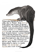 Book Cover for Jackie Morris Poster: Names of the Otter, The by Jackie Morris