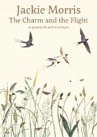 Book Cover for Charm and the Flight Postcard Pack, The by Graffeg