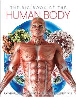 Book Cover for The Big Book of the Human body by Katherine Marsh