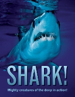 Book Cover for Shark! by Paul Mason