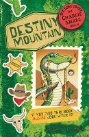 Book Cover for Destiny Mountain by Nick Ward