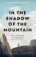 Book Cover for In The Shadow of the Mountain by Silvia Vasquez-Lavado