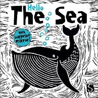 Book Cover for Hello the Sea by Carolyn Scrace