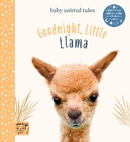 Book Cover for Goodnight Little Llama by Amanda Wood