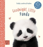 Book Cover for Goodnight, Little Panda by Amanda Wood