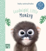 Book Cover for Goodnight, Little Monkey by Amanda Wood