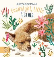 Book Cover for Goodnight, Little Llama by Amanda Wood