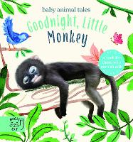 Book Cover for Goodnight, Little Monkey by Amanda Wood