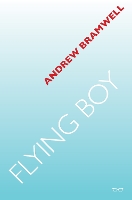 Book Cover for Flying Boy by Andrew Bramwell