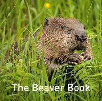 Book Cover for Beaver Book, The by Hugh Warwick