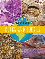 Book Cover for Rocks and Fossils by Annabel Griffin