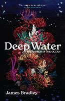 Book Cover for Deep Water by James Bradley