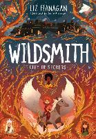 Book Cover for City of Secrets The Wildsmith #2 by Liz Flanagan