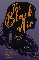 Book Cover for The Black Air by Jennifer Lane