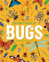 Book Cover for My First Book of Bugs by Emily Kington