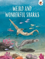 Book Cover for Weird and Wonderful Sharks by Annabel Griffin