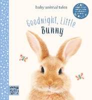 Book Cover for Goodnight, Little Bunny by Amanda Wood