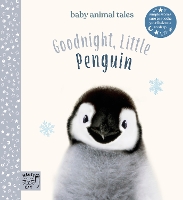 Book Cover for Goodnight, Little Penguin by Amanda Wood