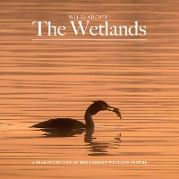 Book Cover for Wild About The Wetlands by Andrew Wilson