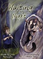 Book Cover for Waiting for the Night by Julie Thorndyke
