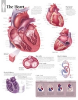 Book Cover for Heart Paper Poster by Scientific Publishing