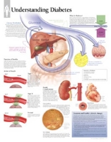 Book Cover for Understanding Diabetes Paper Poster by Scientific Publishing