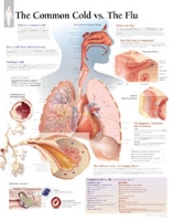 Book Cover for Understanding the Common Cold Paper Poster by Scientific Publishing