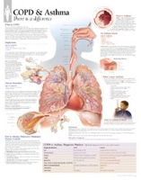 Book Cover for COPD & Asthma Laminated Poster by Scientific Publishing