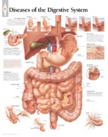 Book Cover for Diseases of the Digestive System Laminated Poster by Scientific Publishing