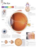 Book Cover for Eye Laminated Poster by Scientific Publishing