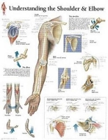 Book Cover for Understanding the Shoulder & Elbow Paper Poster by Scientific Publishing