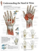 Book Cover for Understanding the Hand & Wrist Paper Poster by Scientific Publishing