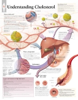 Book Cover for Understanding Cholesterol Laminated Poster by Scientific Publishing