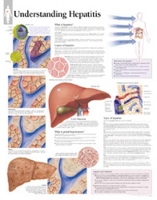Book Cover for Understanding Hepatitis Laminated Poster by Scientific Publishing